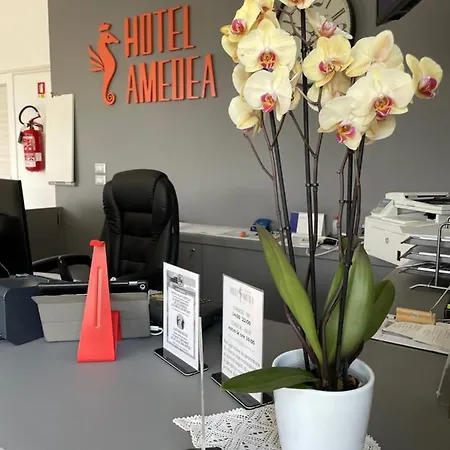 Amedea 3* Cervia