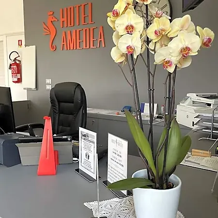 Hotel Amedea Cervia